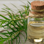 Çay ağacı yağının faydaları