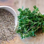 Kekik Kullanımının Faydaları ve Zararları