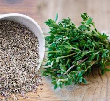 Kekik Kullanımının Faydaları ve Zararları