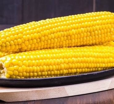 Süt Mısır Nasıl Yapılır? 