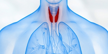 Tiroid Kanseri Nedenleri ve Tedavisi