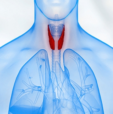 Tiroid Kanseri Nedenleri ve Tedavisi