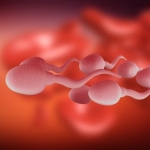 Dışarıdan Bulaşan Spermle Hamile Kalınır mı? 