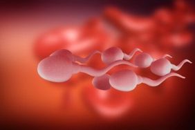 Dışarıdan Bulaşan Spermle Hamile Kalınır mı? 