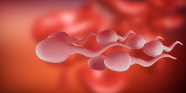 Dışarıdan Bulaşan Spermle Hamile Kalınır mı? 