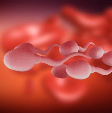 Dışarıdan Bulaşan Spermle Hamile Kalınır mı? 