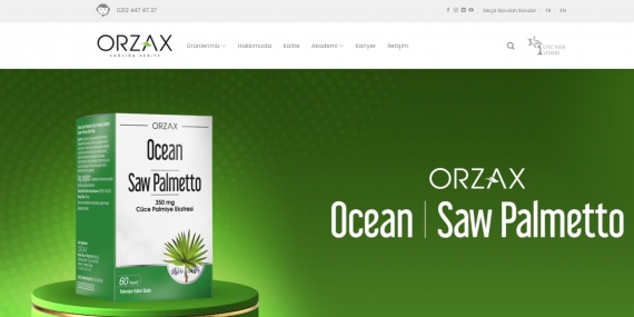 Cilde İyi Gelen Bitkiler Nelerdir?