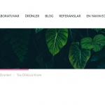 Erkekler İçin Tüy Dökücü Kremler