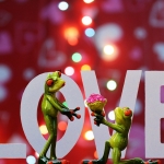 Sürpriz Evlilik Teklifi Fikirleri  