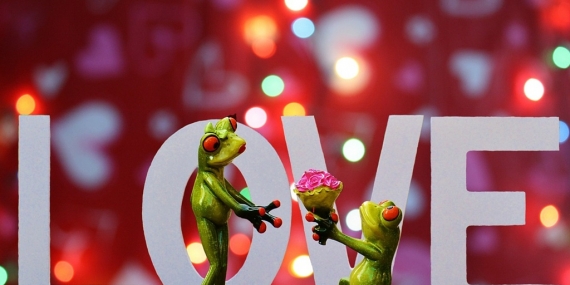 Sürpriz Evlilik Teklifi Fikirleri  