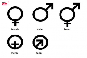 Hermafrodit Nedir? 