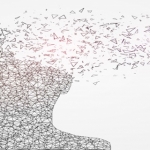 Felsefi Bilgi Nedir?