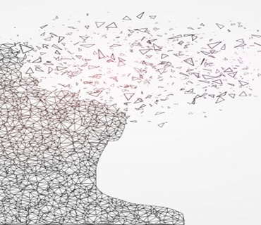 Felsefi Bilgi Nedir?