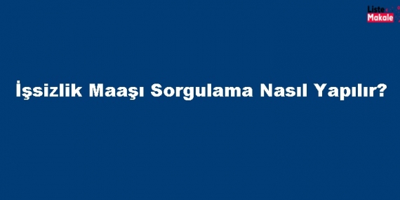 İşsizlik Maaşı Sorgulama Nasıl Yapılır? 