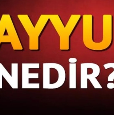 Kayyum Nedir? Görevleri Nelerdir?