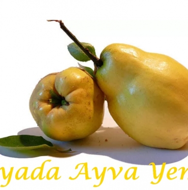 Rüyada Ayva Yemek 