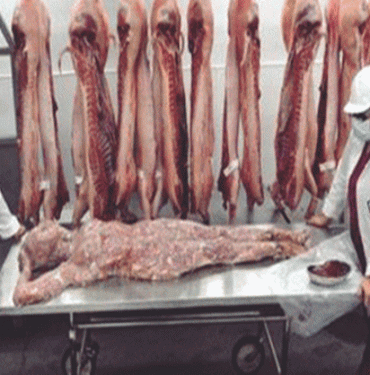 Rüyada İnsan Eti Görmek