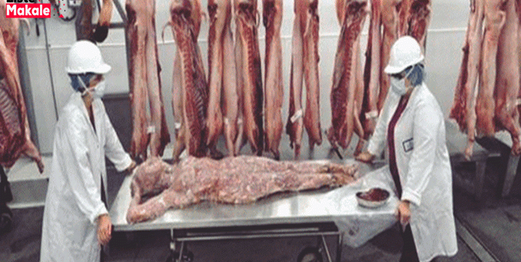 Rüyada İnsan Eti Görmek 