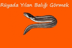 Rüyada Yılan Balığı Görmek 