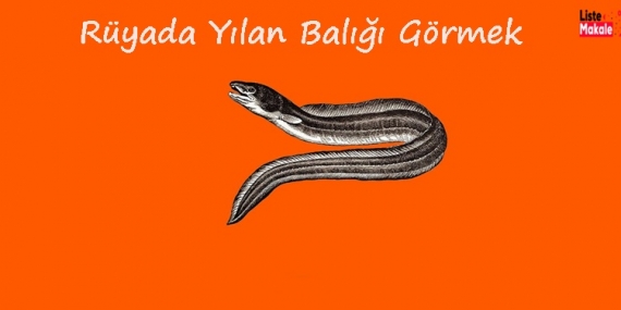 Rüyada Yılan Balığı Görmek 