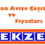 Tekzen Avize Çeşitleri ve Fiyatları