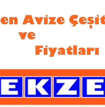 Tekzen Avize Çeşitleri ve Fiyatları