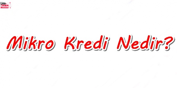 Mikro Kredi Nedir? 