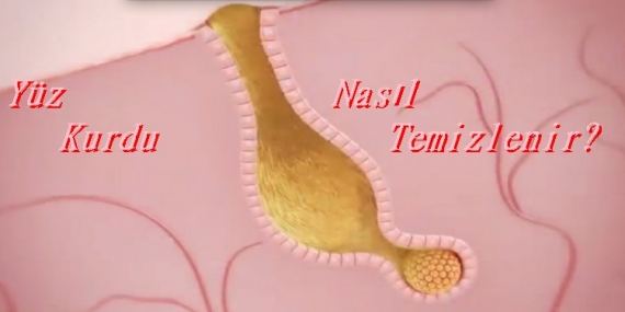 Yüz Kurdu Nasıl Temizlenir? 