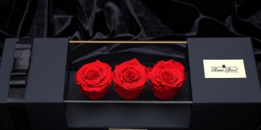 Sevgililer Günü Hediyeleri