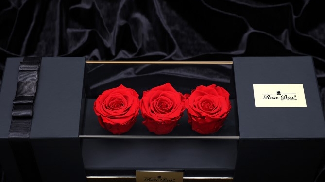 Sevgililer Günü Hediyeleri