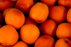 Kayısının Faydaları Nelerdir?