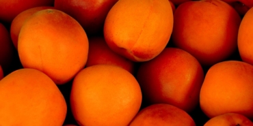 Kayısının Faydaları Nelerdir?