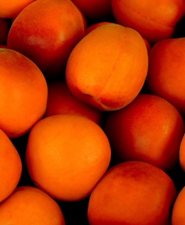 Kayısının Faydaları Nelerdir?