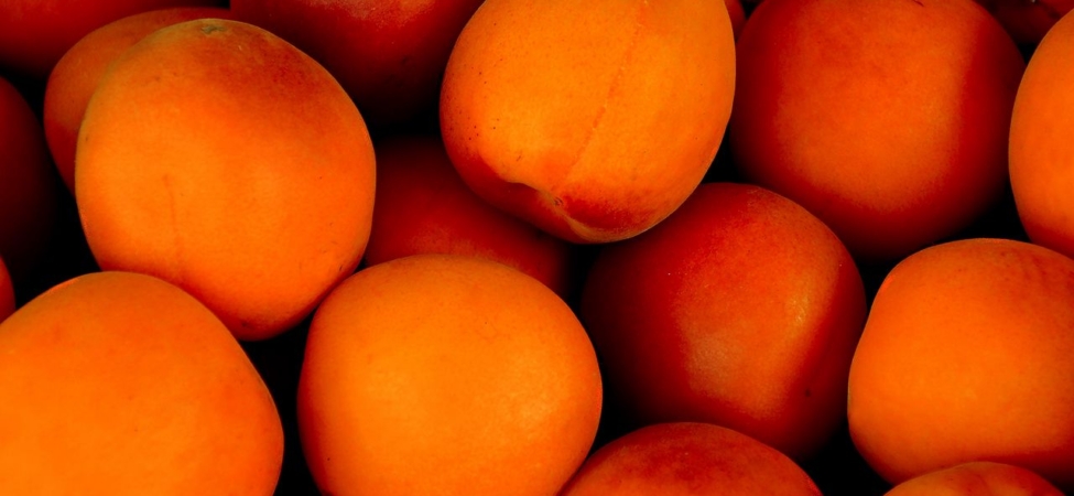 Kayısının Faydaları Nelerdir?