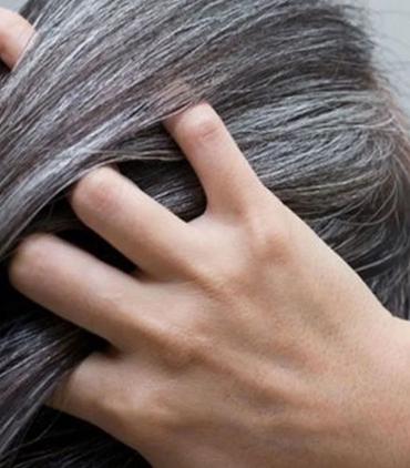 Genç Yaşta Saç Beyazlamasını Önleyen Yiyecekler