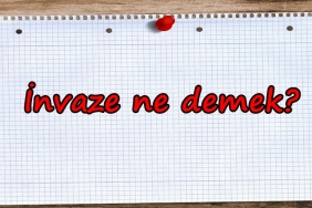 İnvaze ne demek?