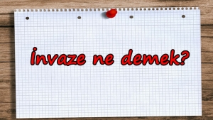 İnvaze ne demek?