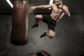 golden-guard-rhino-1