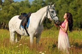 rüyada beyaz ata binmek ne anlama gelir
