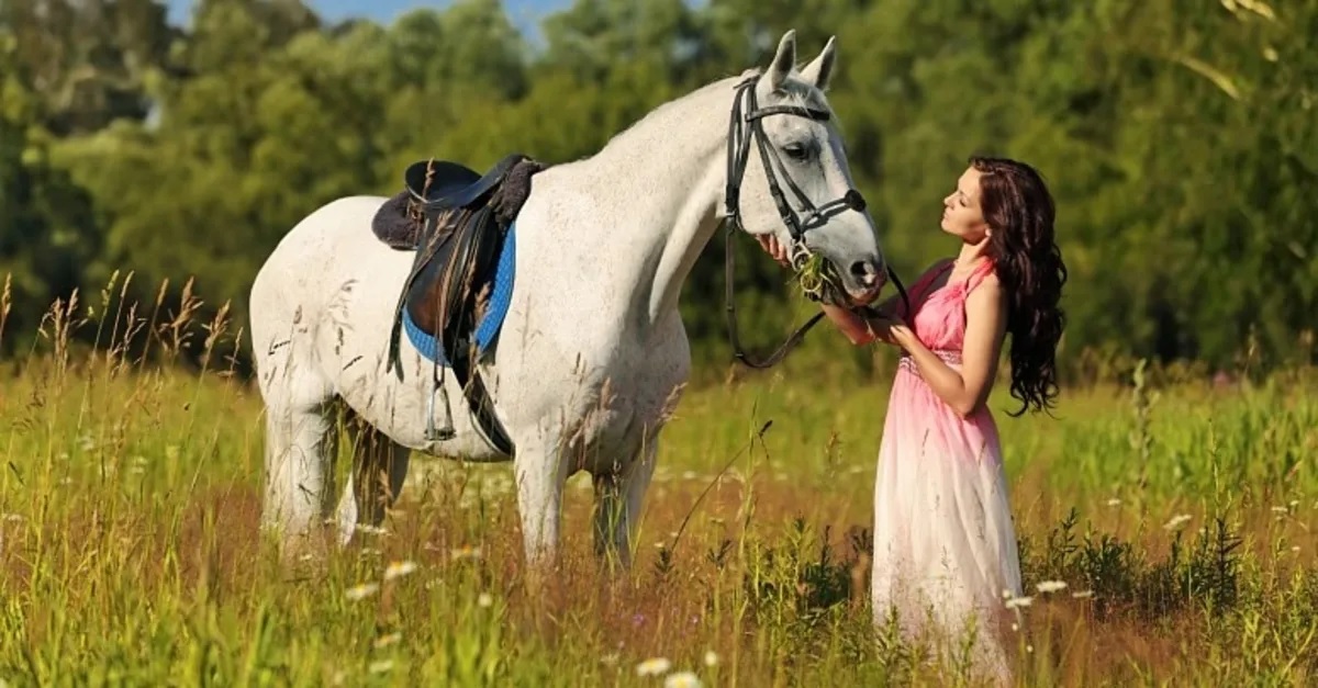 rüyada beyaz ata binmek ne anlama gelir