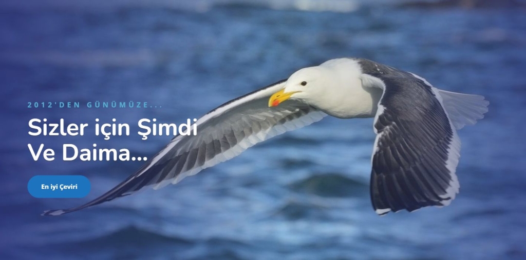 Yeminli Tercüman Ücreti - Tercüme Bürosu