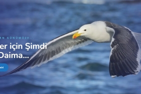 Yeminli Tercüman Ücreti - Tercüme Bürosu