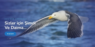 Yeminli Tercüman Ücreti - Tercüme Bürosu