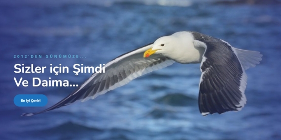 Yeminli Tercüman Ücreti – Tercüme Bürosu