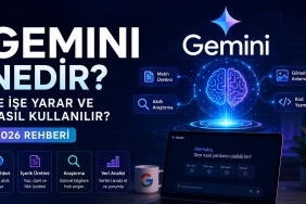 Gemini Nedir?